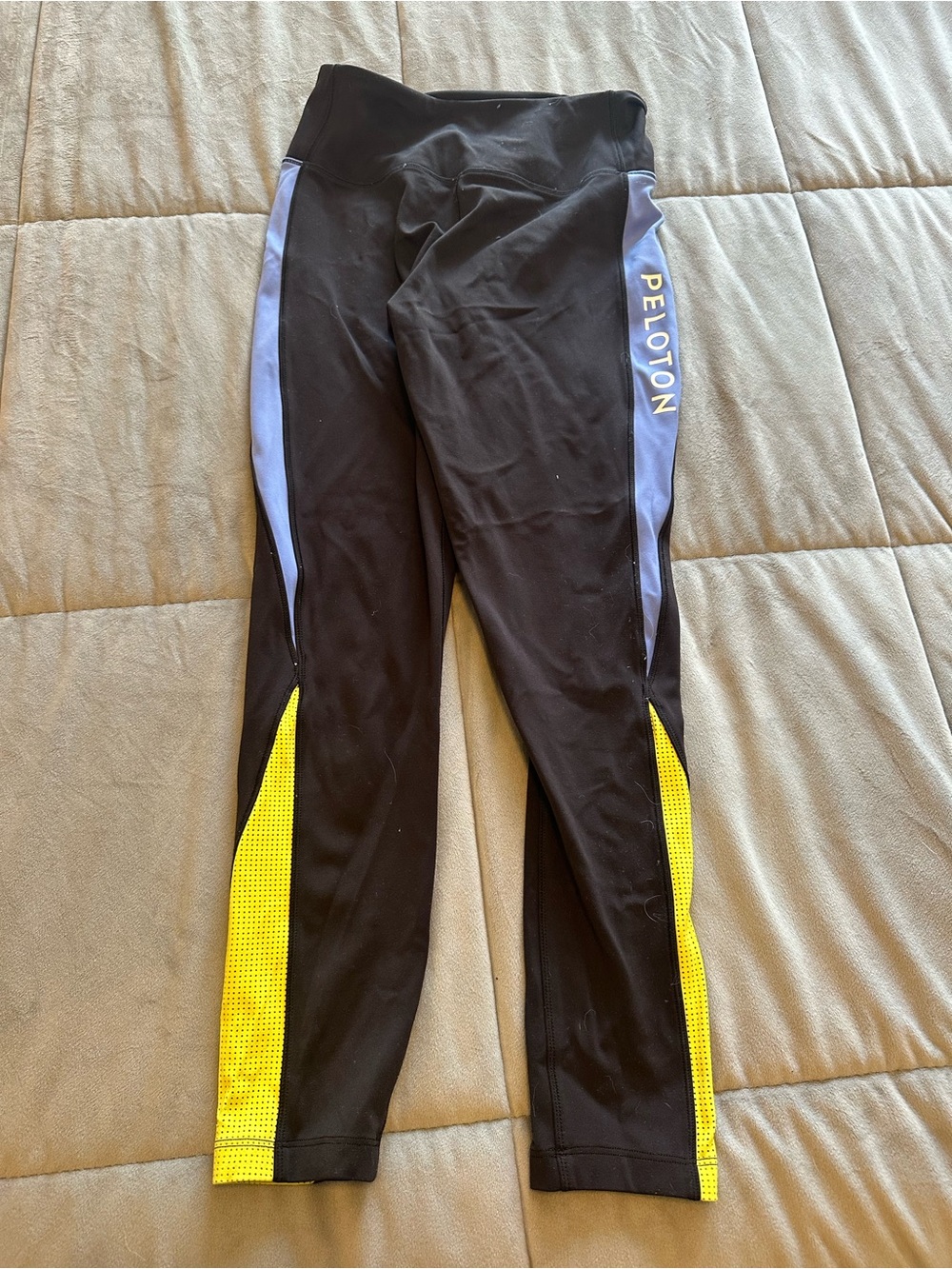 Peloton Apparel Leggings